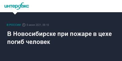 В Новосибирске при пожаре в цехе погиб человек - interfax.ru - Москва - Новосибирск - Новосибирская обл.
