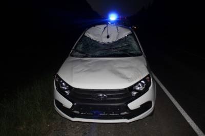 В Прилузье Lada сбила лося - bnkomi.ru - респ. Коми - Чебоксары - Сыктывкар