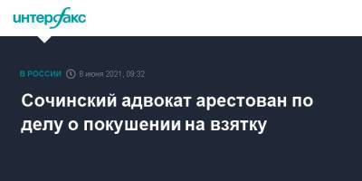 Дмитрий Новиков - Сочинский адвокат арестован по делу о покушении на взятку - interfax.ru - Москва - Сочи - Краснодарский край - Новороссийск