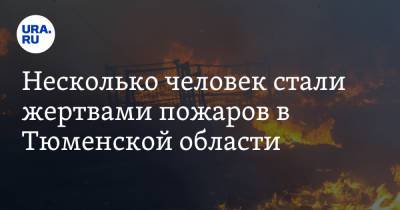 Несколько человек стали жертвами пожаров в Тюменской области - ura.news - Тюменская обл. - Тобольск