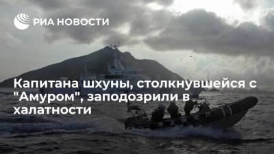 Капитана шхуны, столкнувшейся с "Амуром", заподозрили в халатности - ria.ru - Токио - Япония