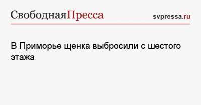 В Приморье щенка выбросили с шестого этажа - svpressa.ru - Приморье край - Партизанск
