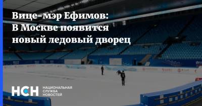 Владимир Ефимов - Вице-мэр Ефимов: В Москве появится новый ледовый дворец - nsn.fm - Москва - Строительство