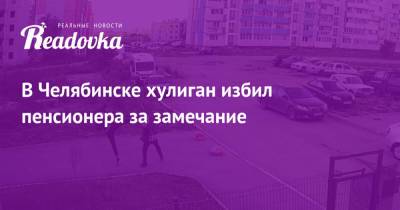 В Челябинске хулиган избил пенсионера за замечание - readovka.news - Челябинск