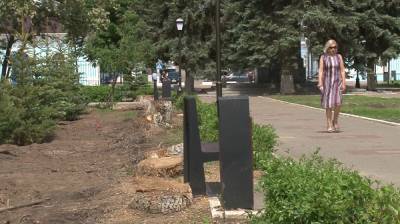 В воронежском райцентре вопреки просьбам жителей спилили деревья в парке - vestivrn.ru - Павловск