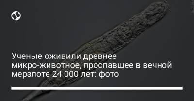 Ученые оживили древнее микро-животное, проспавшее в вечной мерзлоте 24 000 лет: фото - liga.net - Украина