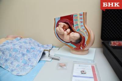 Виктор Бобыря Как - Цифра дня: 123,5 млн рублей потратят в Коми на процедуры ЭКО - bnkomi.ru - респ. Коми
