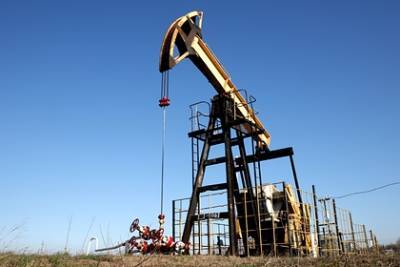 Пекка Хаависто - Финляндия предупредила о постепенном отказе от российской нефти - lenta.ru - Финляндия