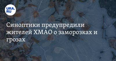 Синоптики предупредили жителей ХМАО о заморозках и грозах - ura.news - Ханты-Мансийск - Югра