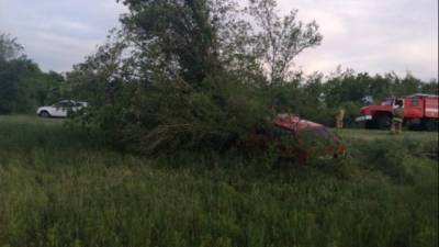 В Волгоградской области ВАЗ врезался в дерево – погибли двое - usedcars.ru - Волгоградская обл. - район Николаевский