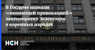 Владимир Зеленский - В Госдуме назвали «вопиющей провокацией» законопроект Зеленского о коренных народах - nsn.fm - Украина