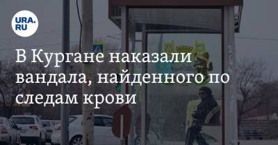 В Кургане наказали вандала, найденного по следам крови - ura.news - Курганская обл. - Курган