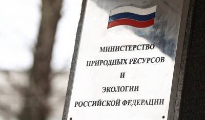 Минприроды подозревают в размещении отчетов задним числом - mkset.ru - Экология