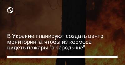 Антон Геращенко - В Украине планируют создать центр мониторинга, чтобы из космоса видеть пожары "в зародыше" - liga.net