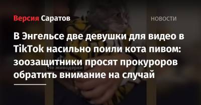 В Энгельсе две девушки для видео в TikTok насильно поили кота пивом: зоозащитники просят прокуроров обратить внимание на случай - nversia.ru