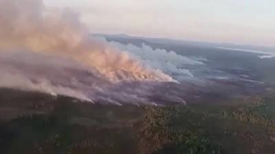 В Мурманской области борются с крупным лесным пожаром - piter.tv - Новосибирск - Мурманская обл.