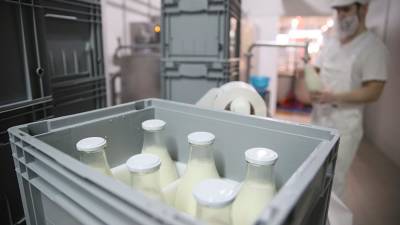Правительство упростило маркировку молочной продукции - iz.ru - с. 1 Июня