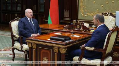 Александр Лукашенко - Виктор Лукашенко - Лукашенко ориентирует НОК на популяризацию спорта в Беларуси - belta.by - Минск - Орша