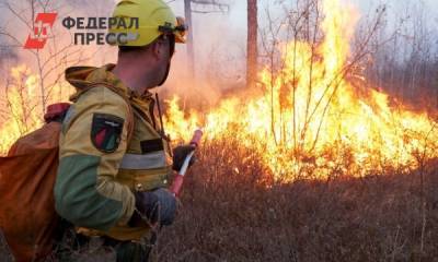Андрей Чибис - Лесной пожар в Мурманской области охватил сотни гектаров - fedpress.ru - Иркутская обл. - Мурманск - Мурманская обл.