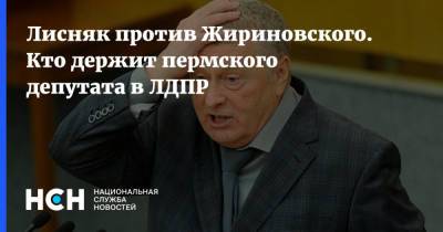 Александр Бастрыкин - Владимир Жириновский - Ярослав Нилов - Лисняк против Жириновского. Кто держит пермского депутата в ЛДПР - nsn.fm - Москва - Пермь - Пермский край