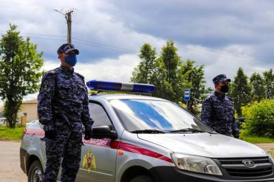 Сотрудники Росгвардии задержали ограбившего женщину йошкаролинца - mk.ru - респ. Марий Эл