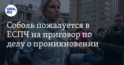 Константин Кудрявцев - Соболь пожалуется в ЕСПЧ на приговор по делу о проникновении - ura.news