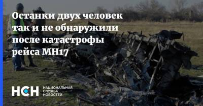 Хендрик Стинхейс - Останки двух человек так и не обнаружили после катастрофы рейса MH17 - nsn.fm - Украина