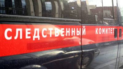 Нарушения в работе детского лагеря в Ленобласти вылились в уголовное дело - mir24.tv - Ленинградская обл. - Санкт-Петербург - район Приозерский