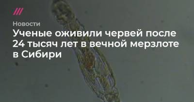 Ученые оживили червей после 24 тысяч лет в вечной мерзлоте в Сибири - tvrain.ru - New York