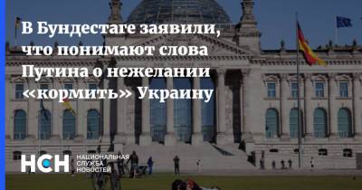 Владимир Путин - Клаус Эрнст - В Бундестаге заявили, что понимают слова Путина о нежелании «кормить» Украину - nsn.fm - Москва - Германия