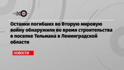 Останки погибших во Вторую мировую войну обнаружили во время строительства в поселке Тельмана в Ленинградской области - echo.msk.ru - Москва - Ленинградская обл. - район Тосненский
