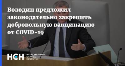 Вячеслав Володин - Володин предложил законодательно закрепить добровольную вакцинацию от COVID-19 - nsn.fm - Россия