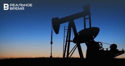Алексей Нечаев - Доходы РФ от экспорта нефти в январе — апреле упали на 10,9% - realnoevremya.ru