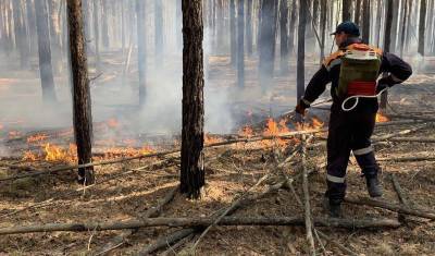 С 9 июня в лесных массивах Тюменской области перестает действовать режим ЧС - nashgorod.ru - Тюменская обл. - район Уватский