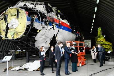 Хендрик Стинхейс - Раскрыты результаты экспертизы останков пилота MH17 - lenta.ru - Голландия