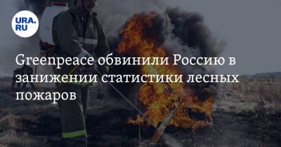 Greenpeace обвинили Россию в занижении статистики лесных пожаров - ura.news - Москва