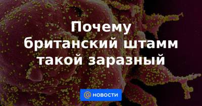 Почему британский штамм такой заразный - news.mail.ru - Англия