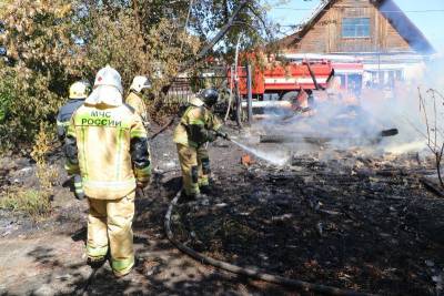 В Кургане пожарные остановили огонь перед жилыми домами - kikonline.ru - Курганская обл. - Курган