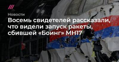 В суде по сбитому в Донбассе «Боингу» впервые озвучили показания свидетелей, видевших запуск ракеты - tvrain.ru - Первомайское