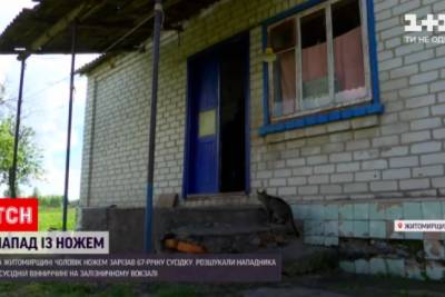 На Житомирщине участник АТО убил соседку и подрезал ее дочь и зятя - rupor.info - Подольск