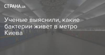 Ученые выяснили, какие бактерии живет в метро Киева - strana.ua - Киев