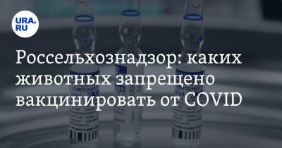 Россельхознадзор: каких животных запрещено вакцинировать от COVID - ura.news - Москва - Тюмень