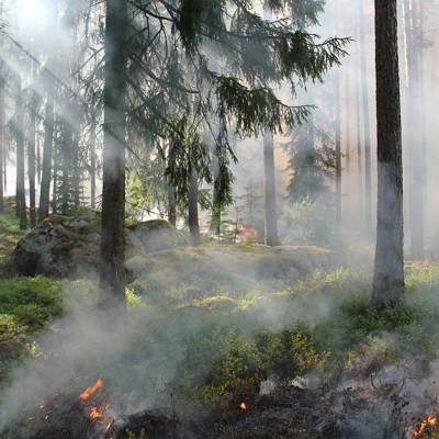 Андрей Тарасенко - Ситуация с лесным пожаром около якутского поселка Хандыга стабилизировалась - radiomayak.ru - Якутск