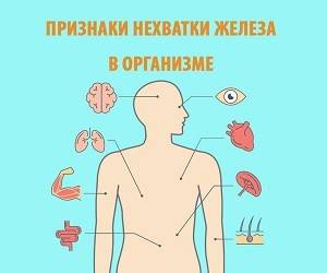 Дефицит железа в организме: признаки и способы решения проблемы - goodnews.ua