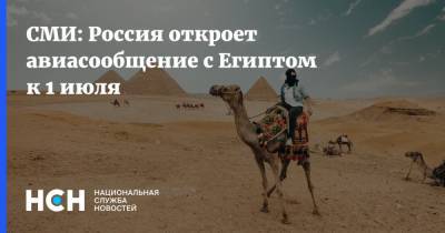 Андрей Белоусов - Михаил Полубояринов - СМИ: Россия откроет авиасообщение с Египтом к 1 июля - nsn.fm - Россия - Египет