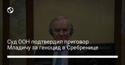Суд ООН подтвердил приговор Младичу за геноцид в Сребренице - liga.net