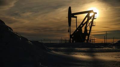 Минэнерго США повысило прогноз цены нефти марки Brent на 2021 год до $65,2 - iz.ru