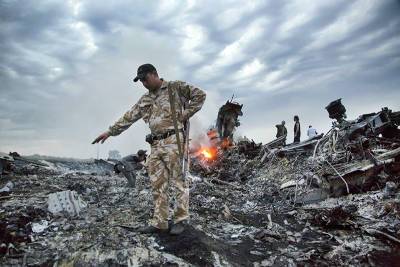 Судья рассказала о показаниях свидетелей по делу MH17 - tvc.ru - Донецкая обл.