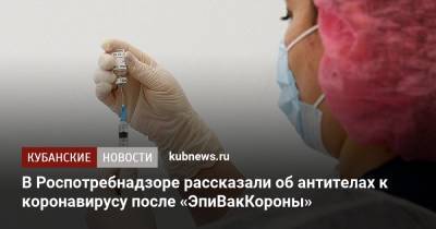 Александр Горелов - В Роспотребнадзоре рассказали об антителах к коронавирусу после «ЭпиВакКороны» - kubnews.ru - Краснодарский край - Новосибирск