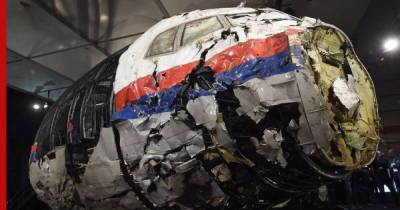 Показания свидетелей по делу катастрофы MH17 впервые раскрыли на суде в Нидерландах - profile.ru - Голландия